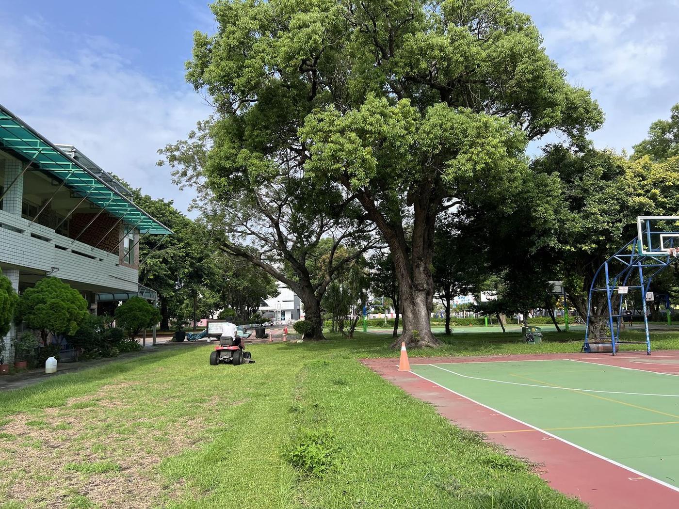 2023 年 7 月夏天，翠綠的草地上割草機正在作業