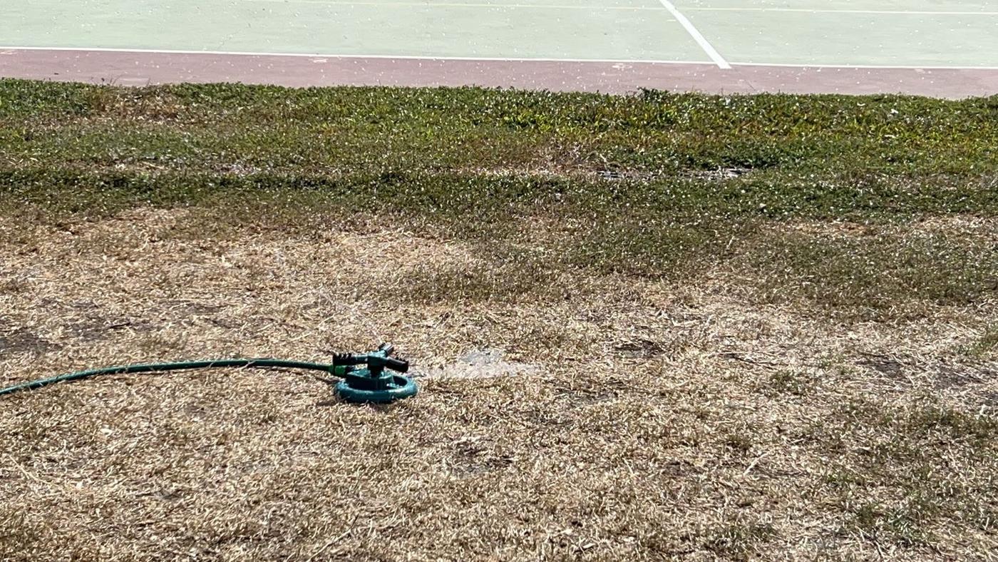 移動式灑水器在枯黃的草地上灑水