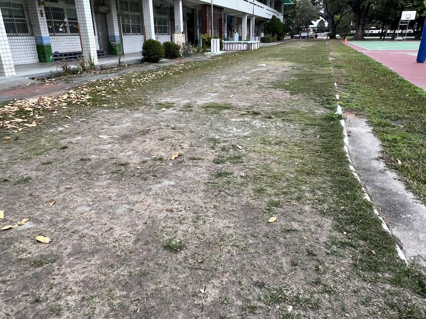 北側跑道草皮稀疏、表面坑洞不平