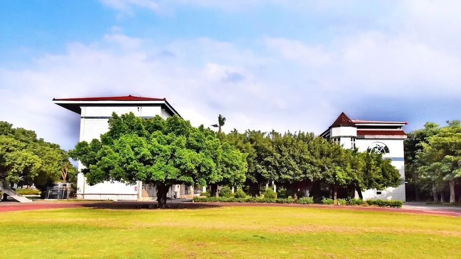 南鎮國小大操場，草地後方是大樹與校舍 The big playing field at Nanzhen, with trees and school buildings behind the lawn