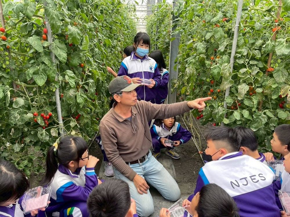 南鎮國小學生在番茄溫室裡，聽農友指著結實纍纍的番茄藤解說 Nanzhen students in a tomato greenhouse as a local farmer points out the fruit on the vines