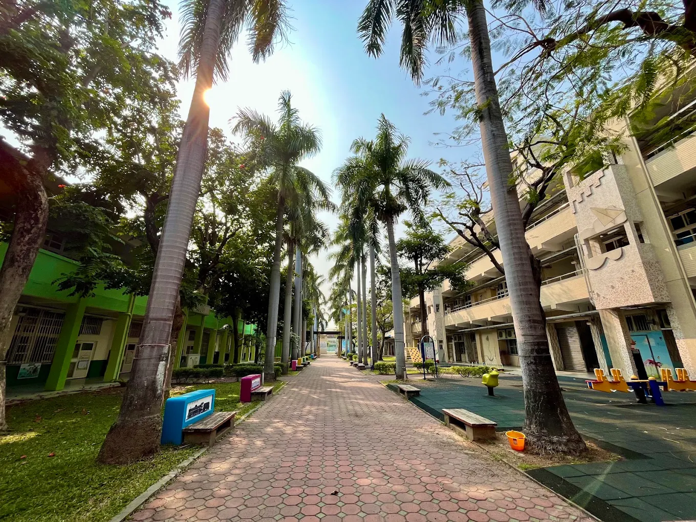 A palm-lined walkway between Pinghe's classroom buildings 平和國小椰林步道