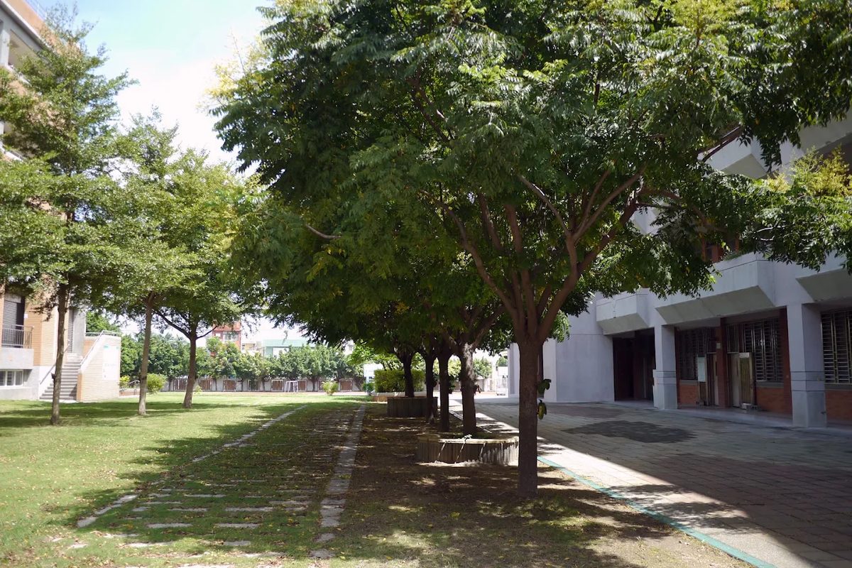 埔心國中校舍之間綠樹成蔭的步道，陽光灑落 A tree-lined, sun-dappled walkway between the school buildings at Pusin