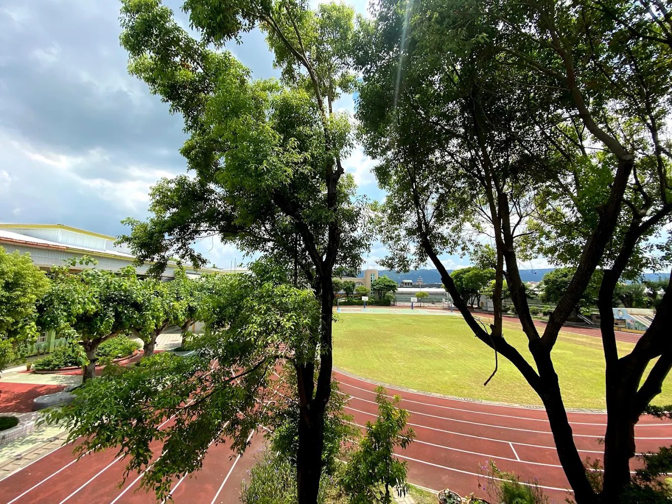 橋頭國小操場的高處視角：畫面前景是兩棵枝葉茂密的大樹，樹隙之間看得見底下的紅色 PU 跑道與中央的綠色草地，跑道左側是修剪成球形的行道樹與紅色鋪面步道，遠處是校舍、球場圍網與一道低矮的山稜線，天空半藍半雲 The field at Qiaotou seen from above — two leafy trees filling the foreground with the red synthetic track and the green infield visible between them, ball-clipped trees and a red paved path along the left side of the track, school buildings, court fencing and a low ridge of hills in the distance, under a half-clouded sky