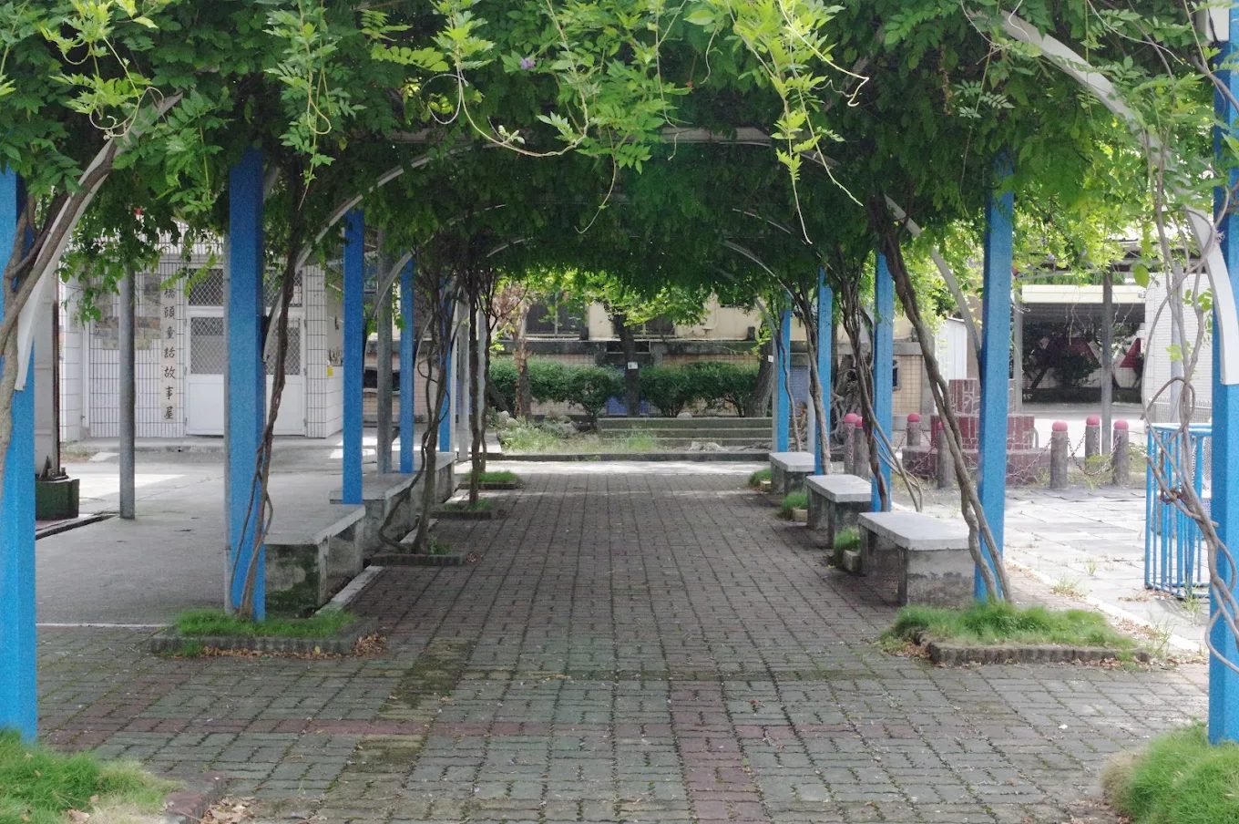 橋頭國小的紫藤步道：一條方磚鋪面的長廊，兩側立著漆成藍色的鐵柱，柱頂拱起的棚架上爬滿藤蔓與綠葉，形成一條綠色隧道，兩旁擺著幾張石椅，走道盡頭是一片綠籬與校舍 The pergola walk at Qiaotou — a paved path running between rows of blue-painted steel posts whose arched frame overhead is covered in climbing vine and green leaves to form a tunnel, with stone benches set along both sides and a clipped hedge and school buildings at the far end