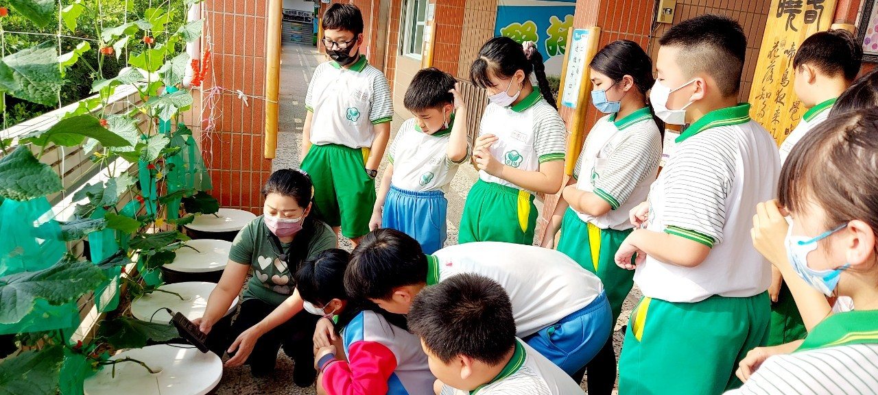 Eco-School Bronze Award · 臺美生態學校銅牌認證