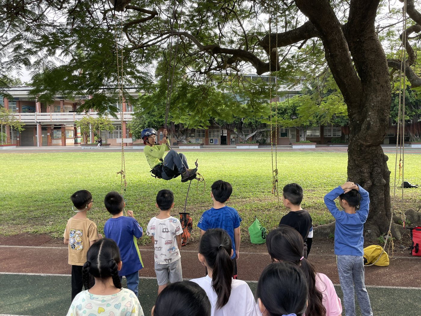 Tree-Climbing Adventure · 樹攀體驗活動