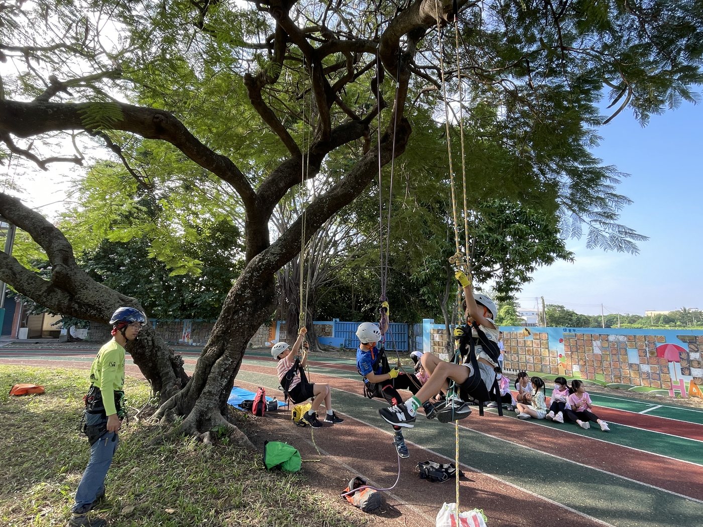 Tree-Climbing Adventure · 樹攀體驗活動