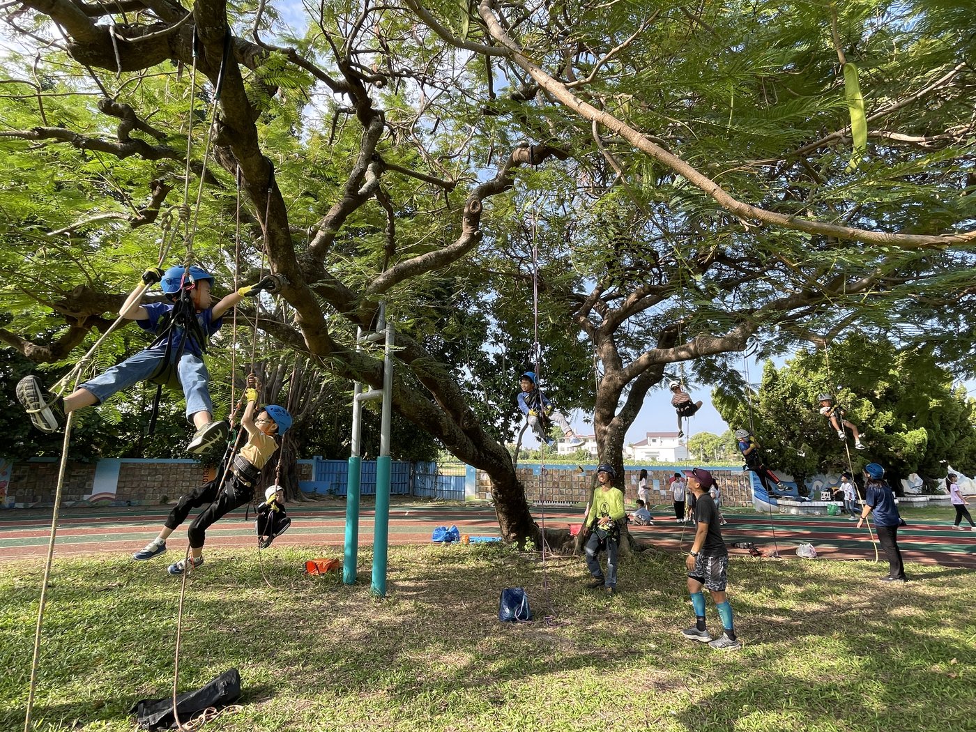 Tree-Climbing Adventure · 樹攀體驗活動