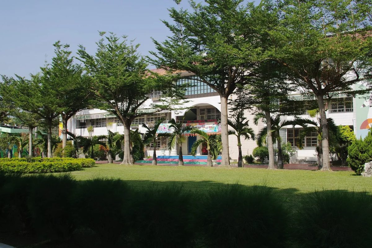 三潭國小草坪與棕櫚樹