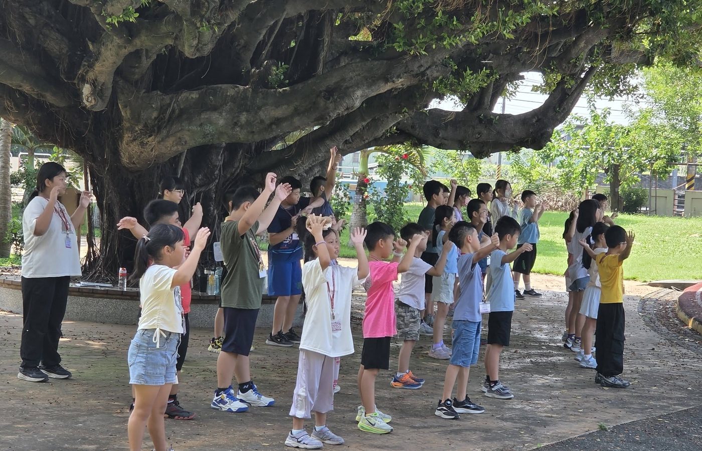 孩子們在百年老榕下進行團體遊戲