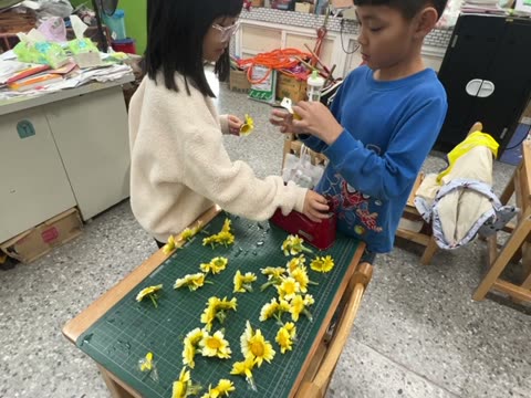 花（flower）——水尾國小課堂實拍