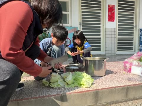 大白菜（cabbage）——水尾國小課堂實拍