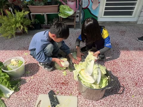 刀子（knife）——水尾國小課堂實拍