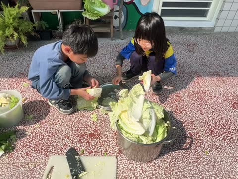 葉子（leaf）——水尾國小課堂實拍