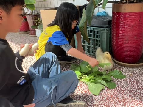 輕輕地（gentle）——水尾國小課堂實拍