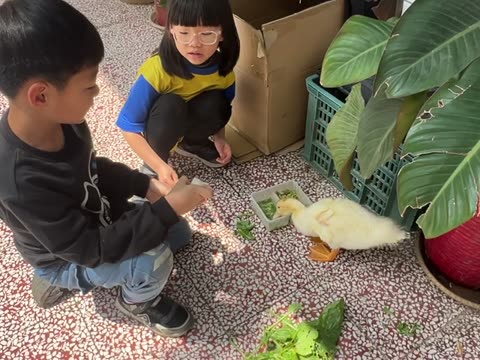 長大（grow）——水尾國小課堂實拍