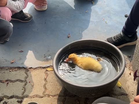 水（water）——水尾國小課堂實拍