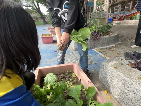 綠色的（green）——水尾國小課堂實拍