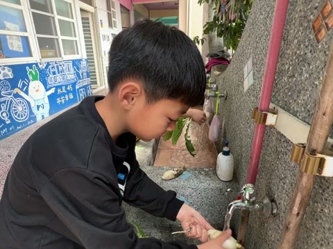 根（root）——水尾國小課堂實拍