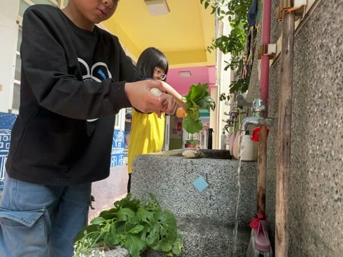 水槽（sink）——水尾國小課堂實拍