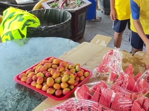 芒果（mango）——水尾國小課堂實拍