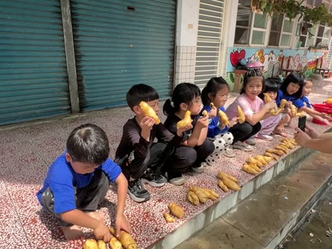 地瓜（sweet potato）——水尾國小課堂實拍