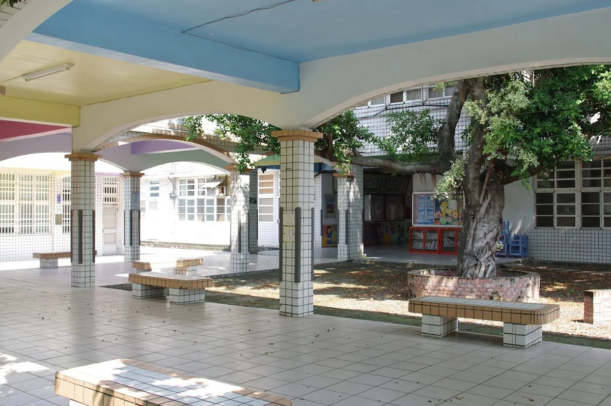 水尾國小磁磚中庭與百年老樹 The tiled courtyard and its old tree