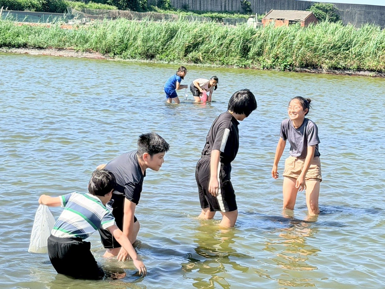 Golden clam digging field study · 親水摸蜆趣