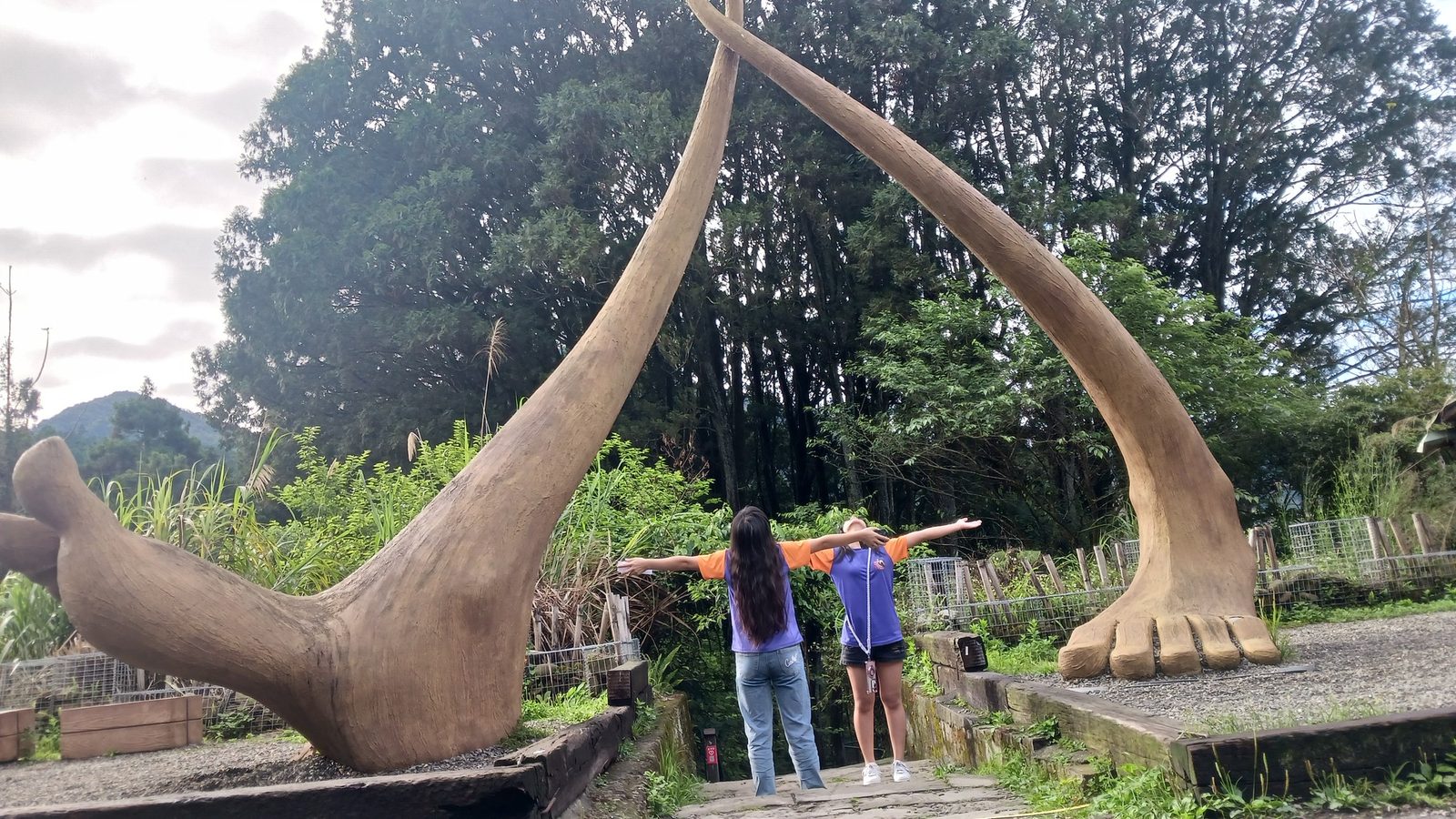 6A graduation trip to Alishan · 六甲畢業旅行
