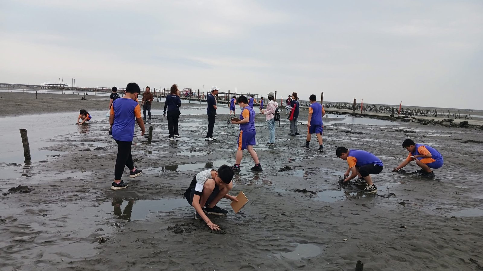 wetland-tour photo 02