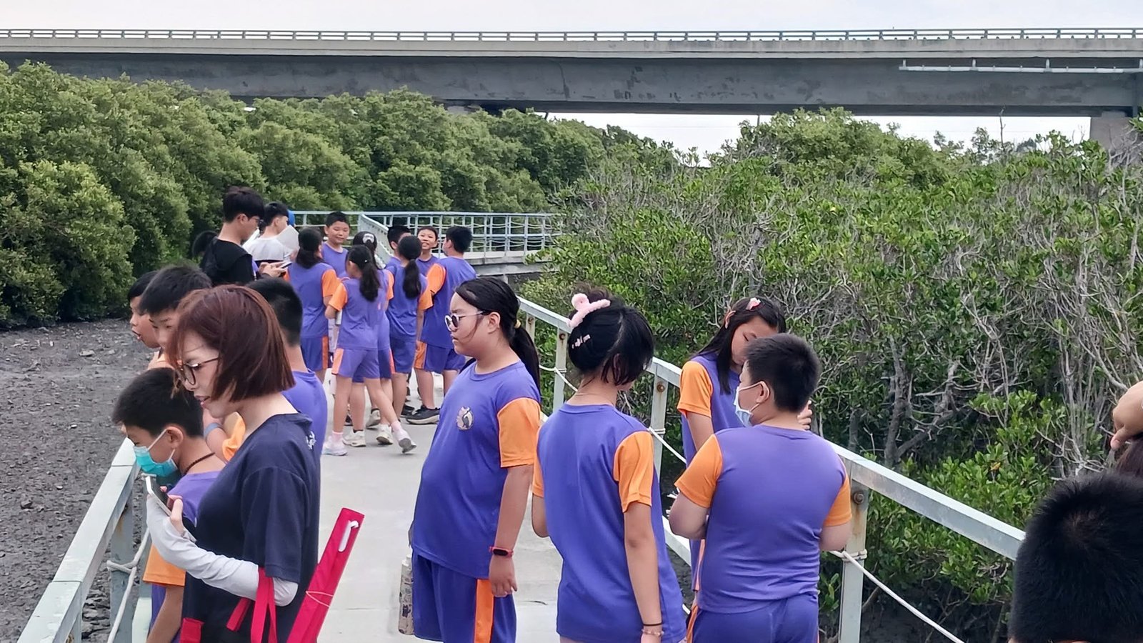 wetland-tour photo 05