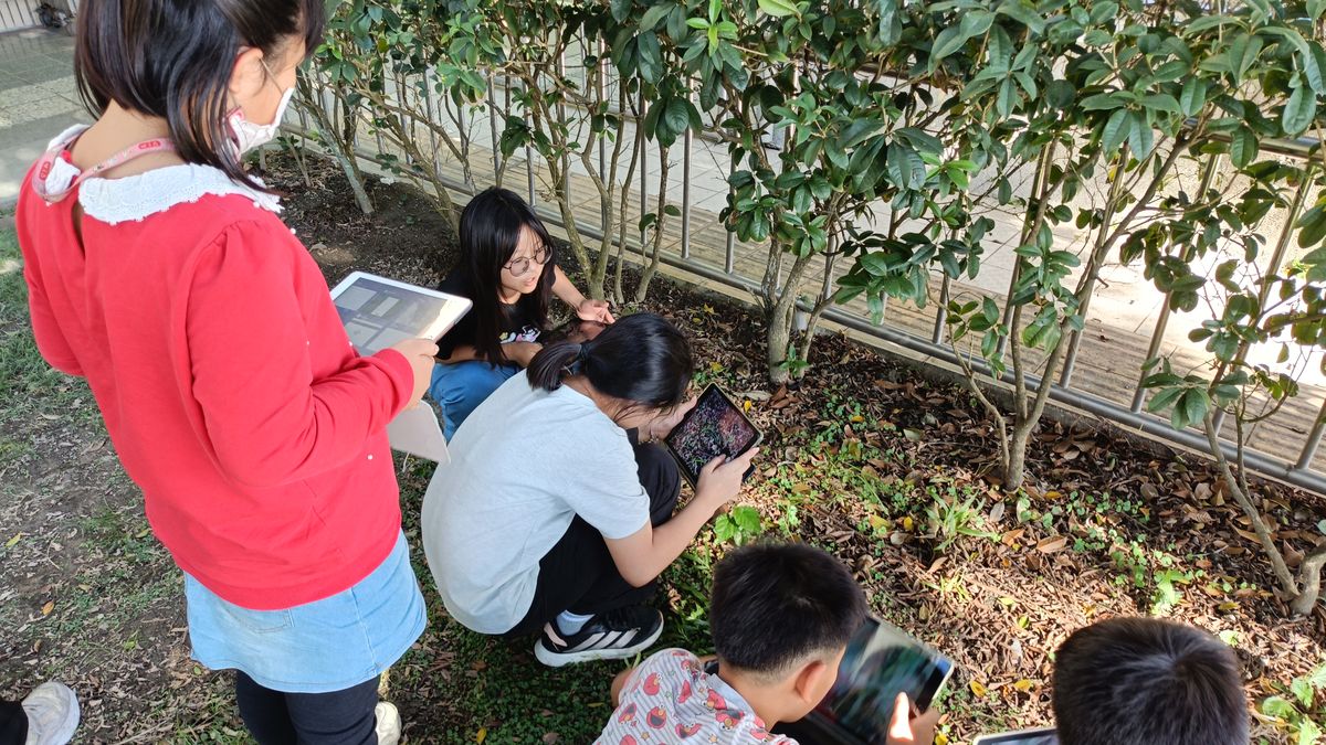 興華國小學生蹲在校園樹叢邊，用平板觀察並記錄植物 SingHua students crouching by a campus hedge, observing and recording plants on tablets