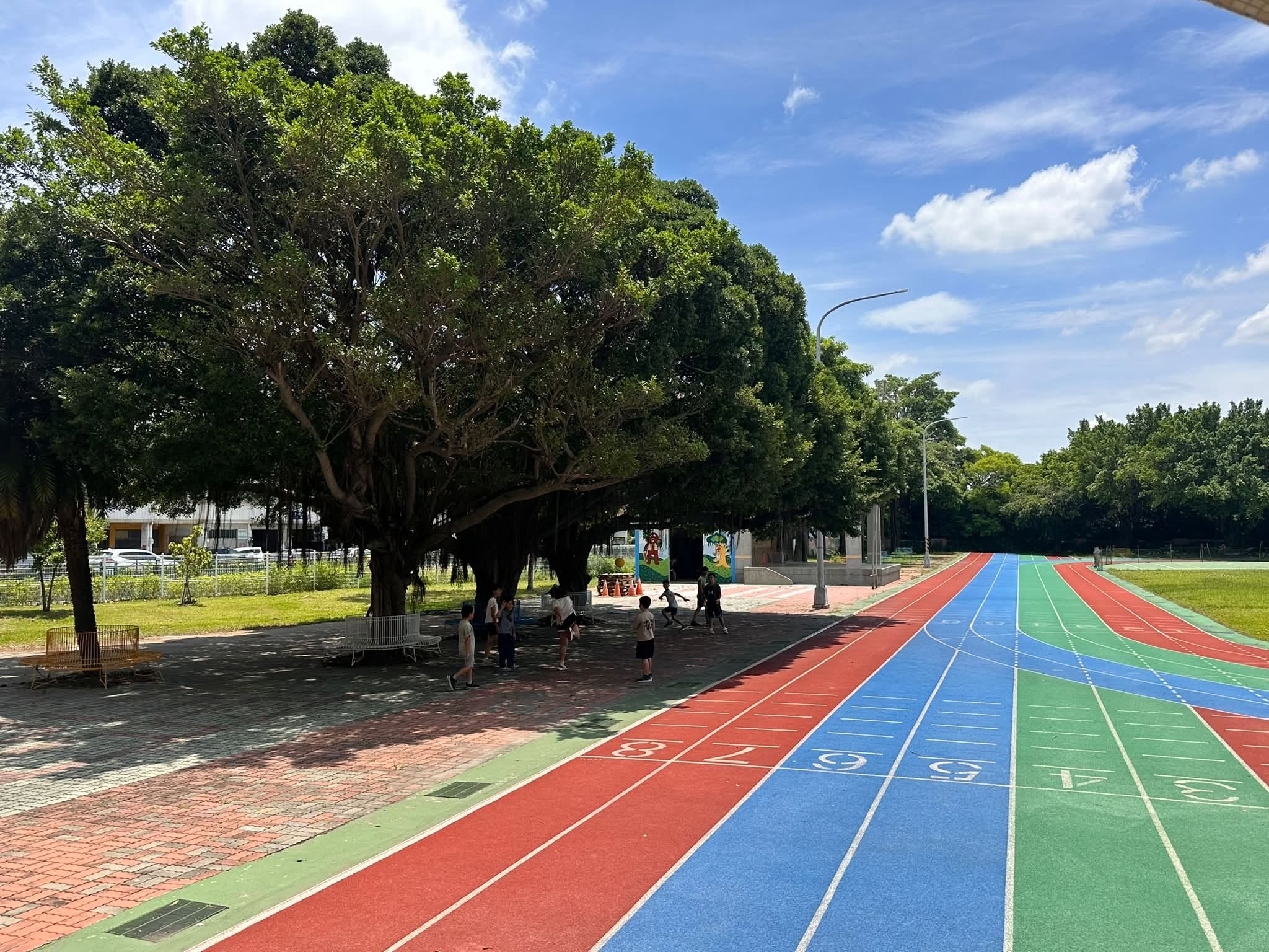 新庄國小老樟樹與操場跑道