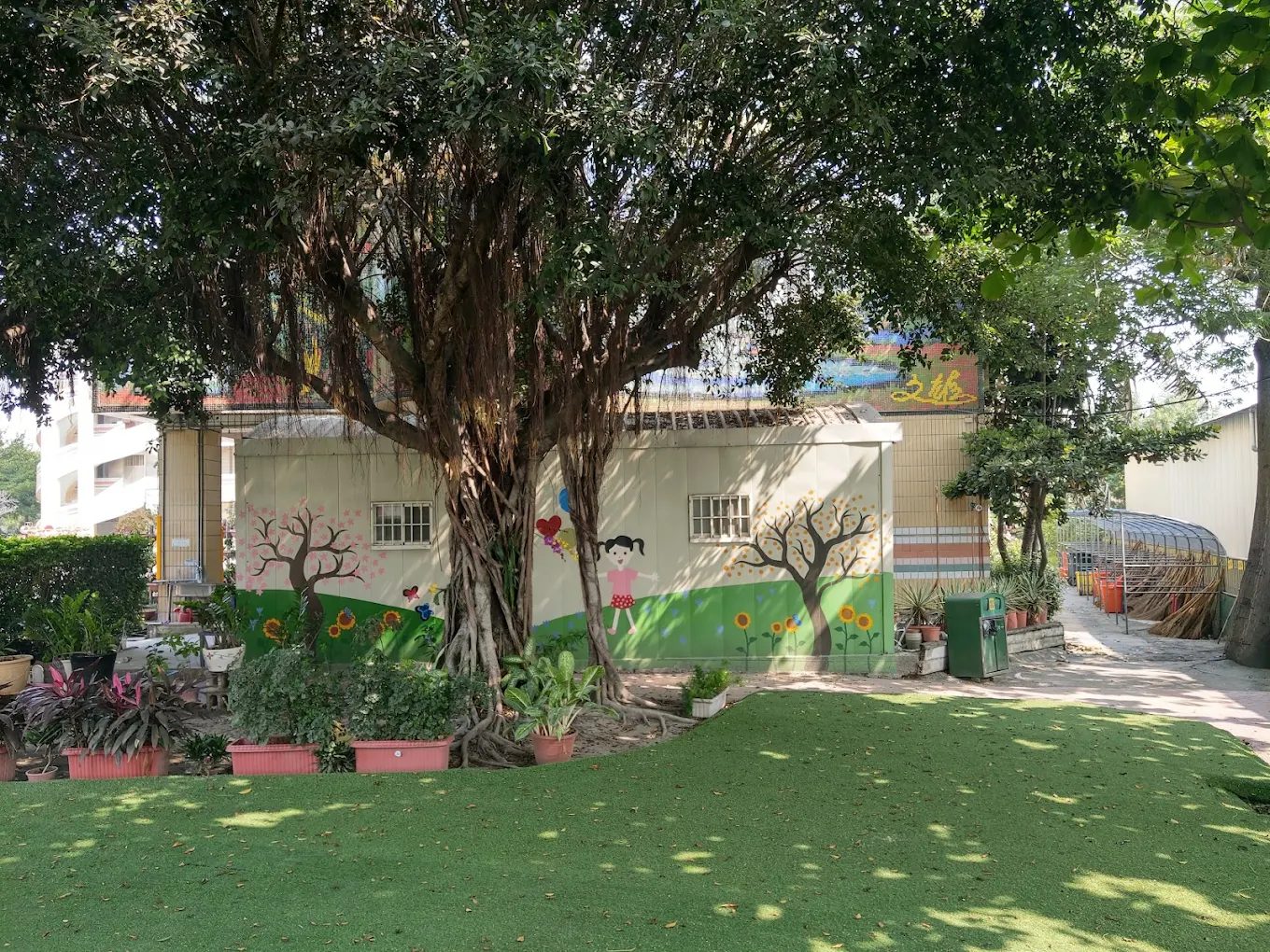 太平國小百年老榕「榕樹爺爺」與氣根 Taiping Elementary hundred-year banyan