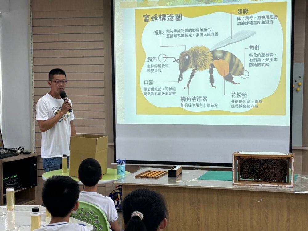 講師以蜜蜂構造圖投影片為田中國小學生講解蜜蜂的身體構造，講台旁放著真實蜂箱
