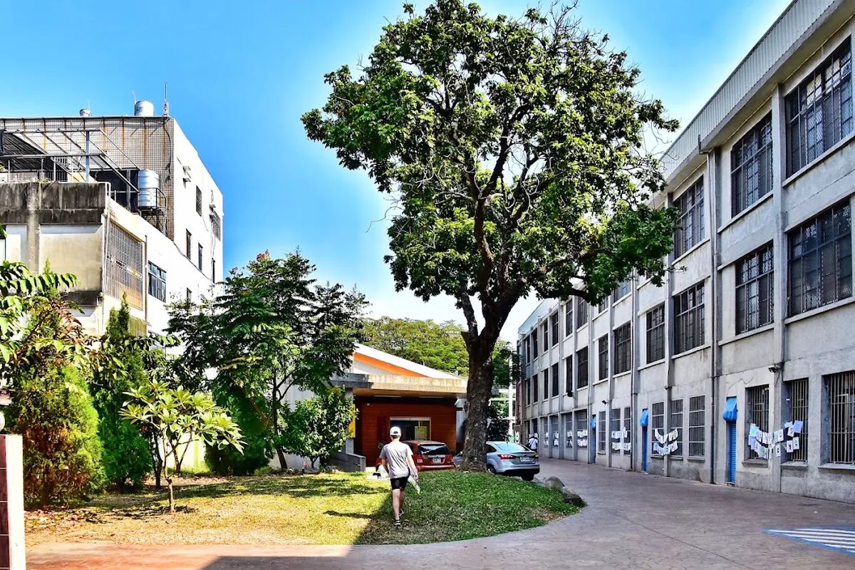 田中國小教學大樓與老樹旁的步道