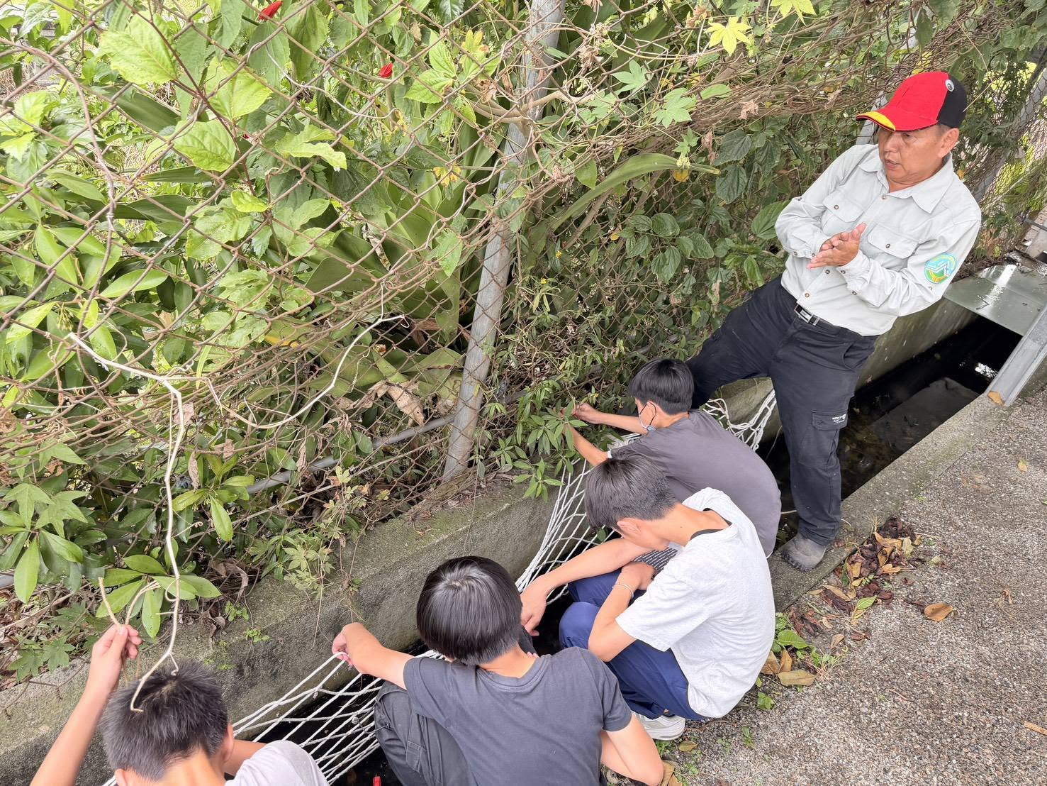 Students fixing the wildlife climbing net as volunteer helpers