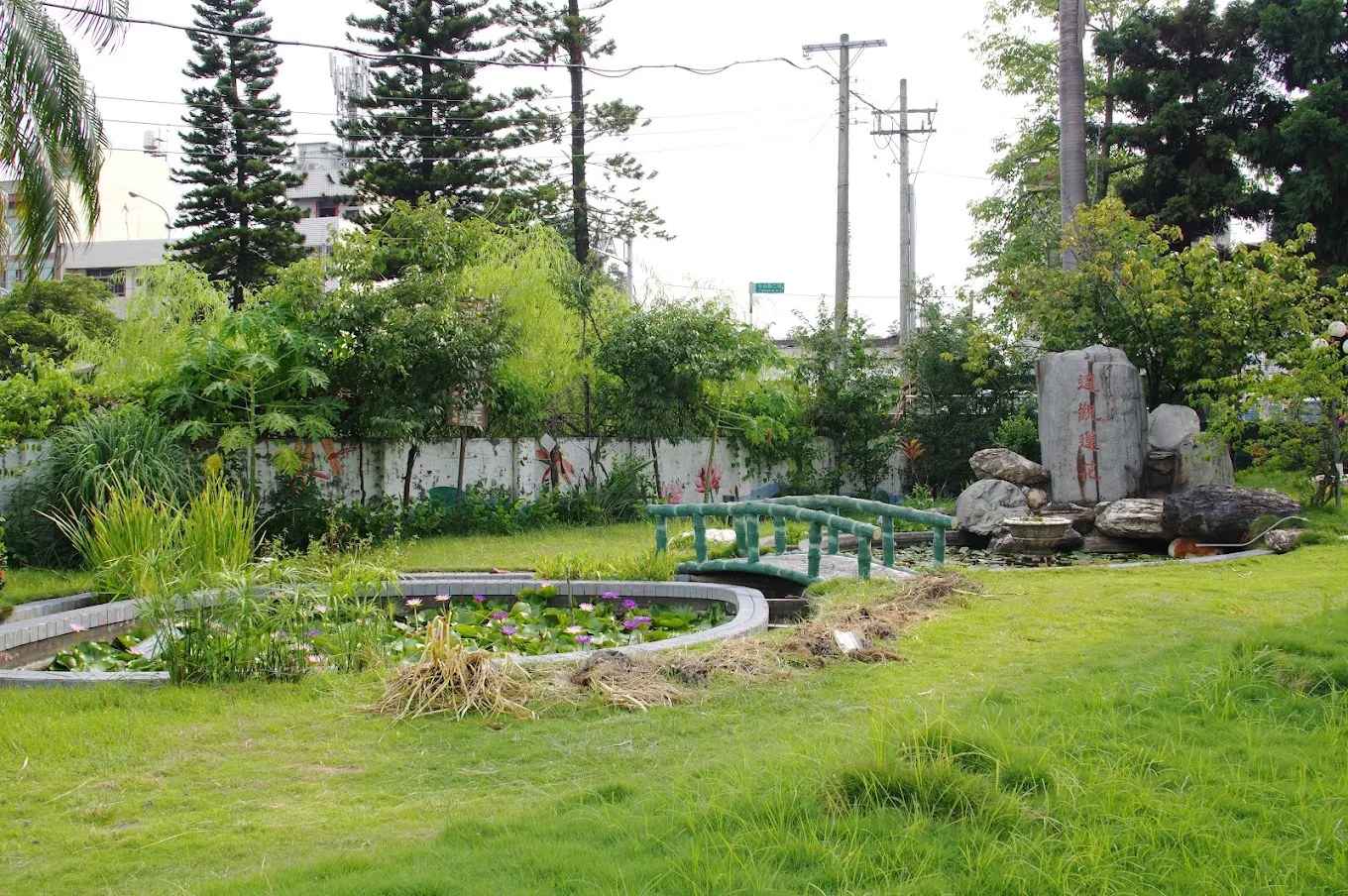村上國小蓮鄉蓮苑，蓮花池與拱橋造景