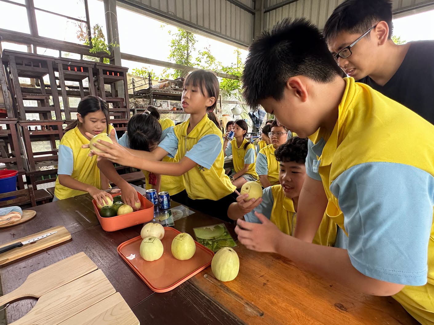 孩子們親手採摘美濃瓜
