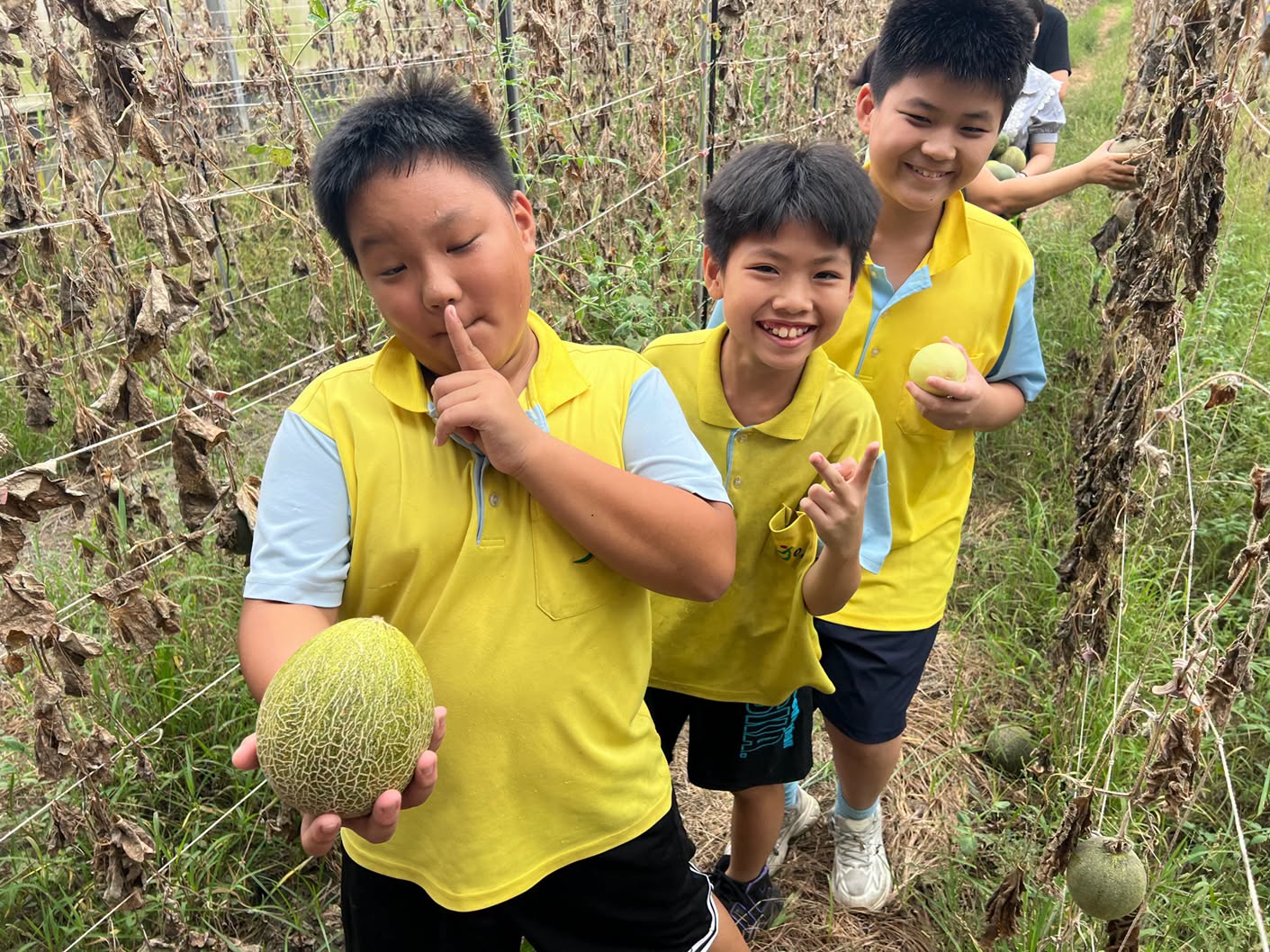 孩子們帶著香瓜滿載而歸