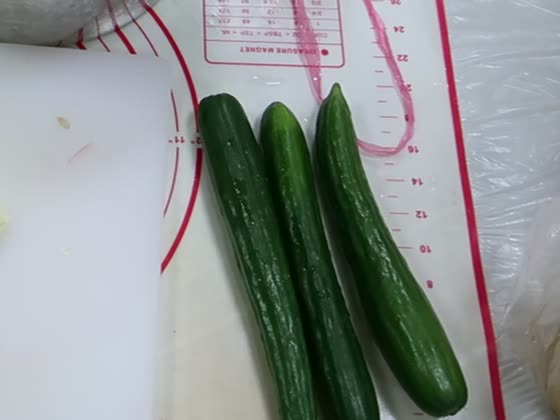 小黃瓜（cucumber）——萬來國小實拍
