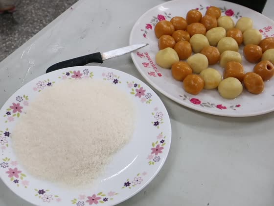 椰子；椰絲（coconut）——萬來國小實拍