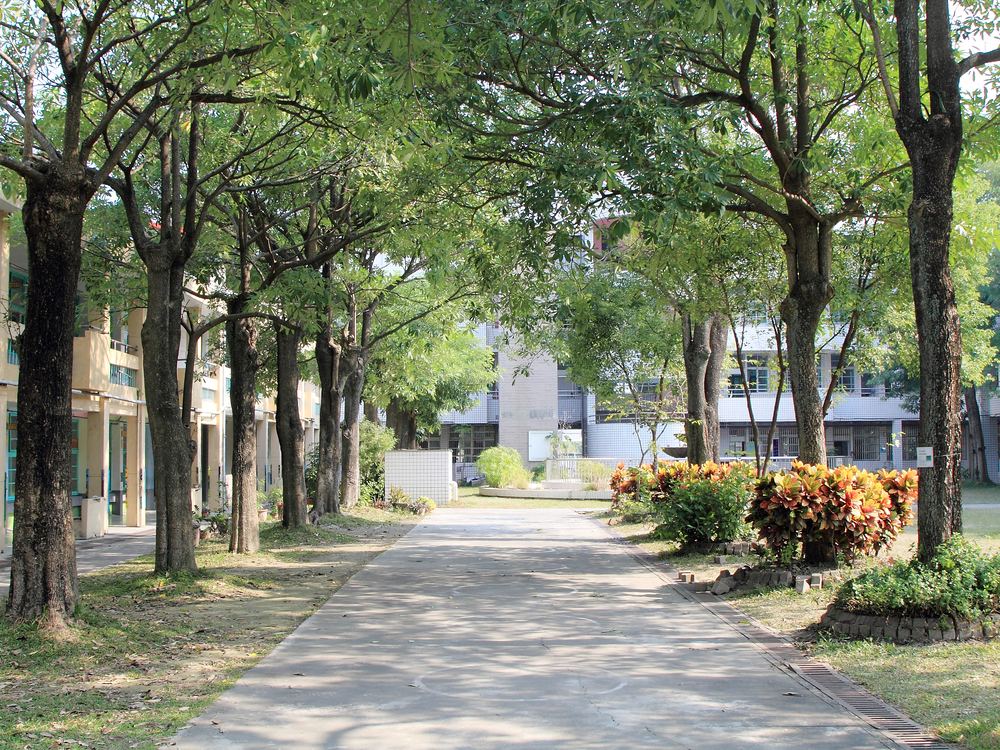 萬來國小林蔭步道