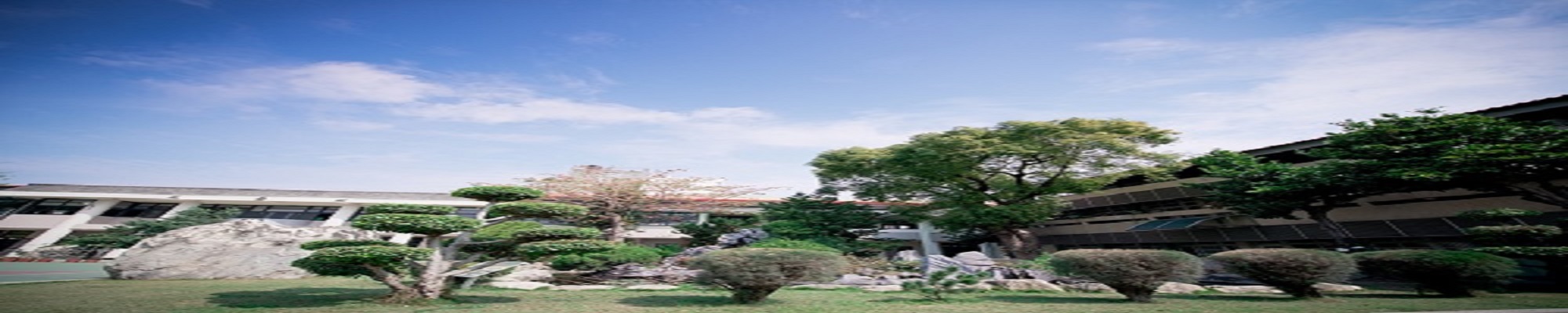 A Japanese-style courtyard inside Wansing's campus, with carefully shaped bonsai pines and white stones under a blue sky
