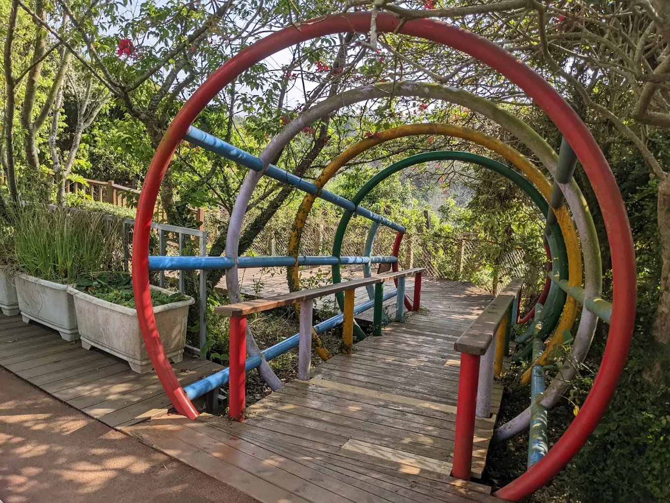 文德國小生態花園彩色隧道步道