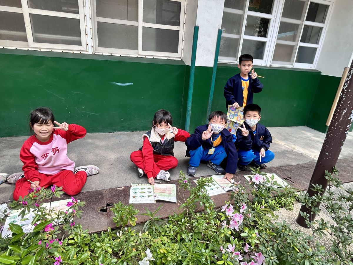 低年級學生在校園花圃旁拿著學習單觀察植物