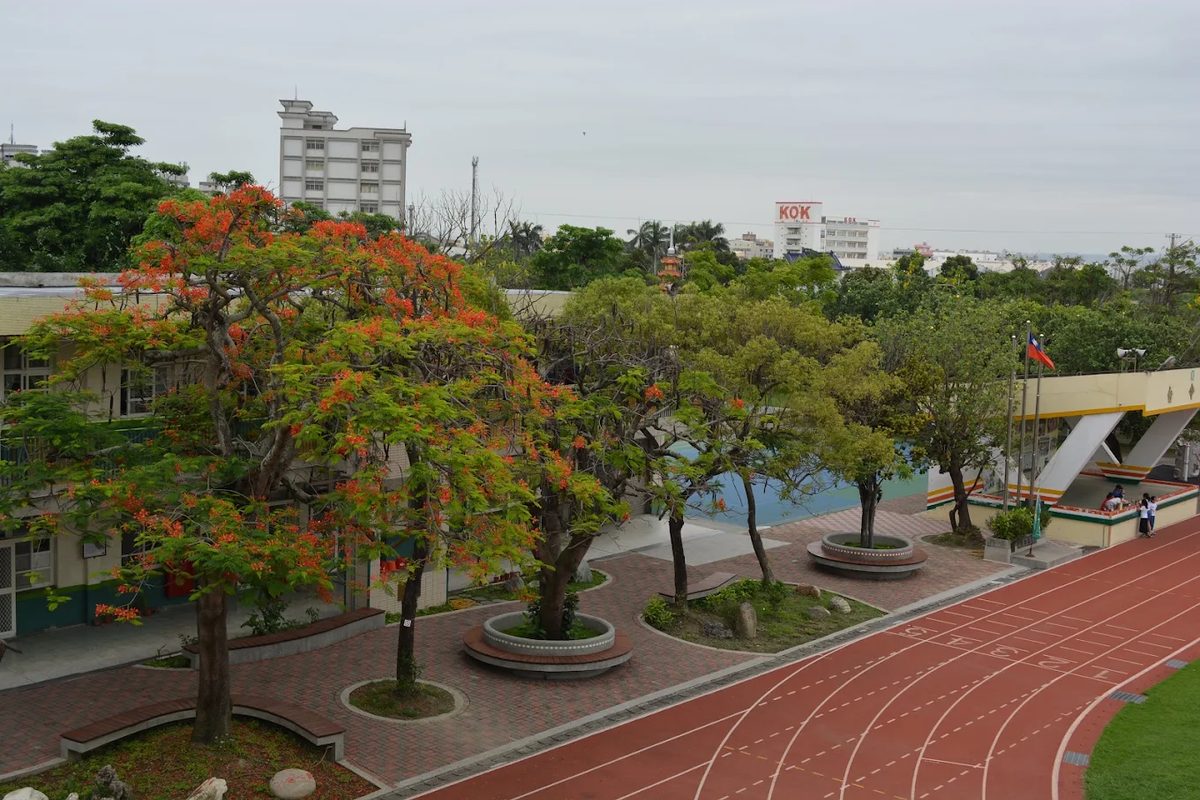 西勢國小校園的鳳凰木與紅色跑道