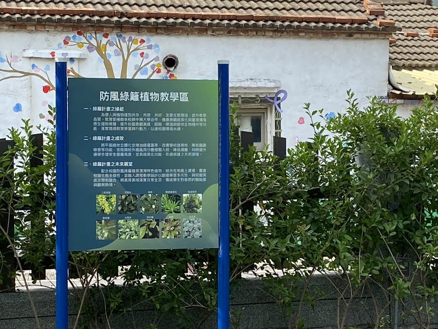 An eco garden corner