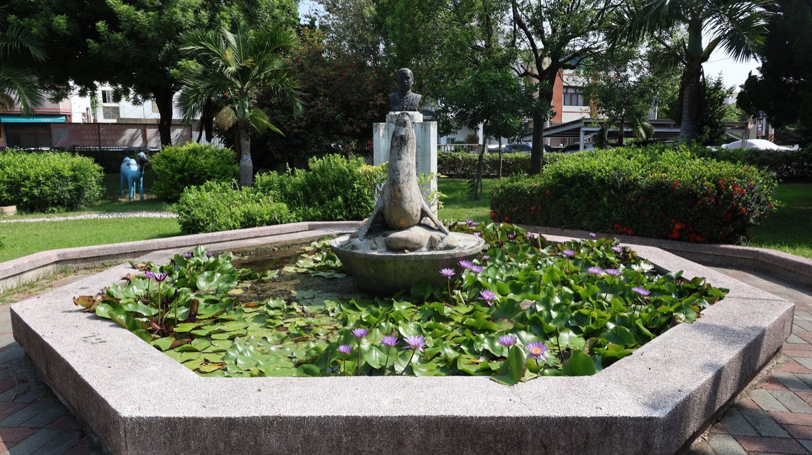 Octagonal Pool